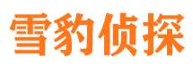 红岗市私家侦探